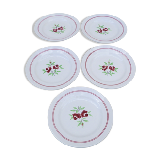 Set of 5 flower patterned dessert plates