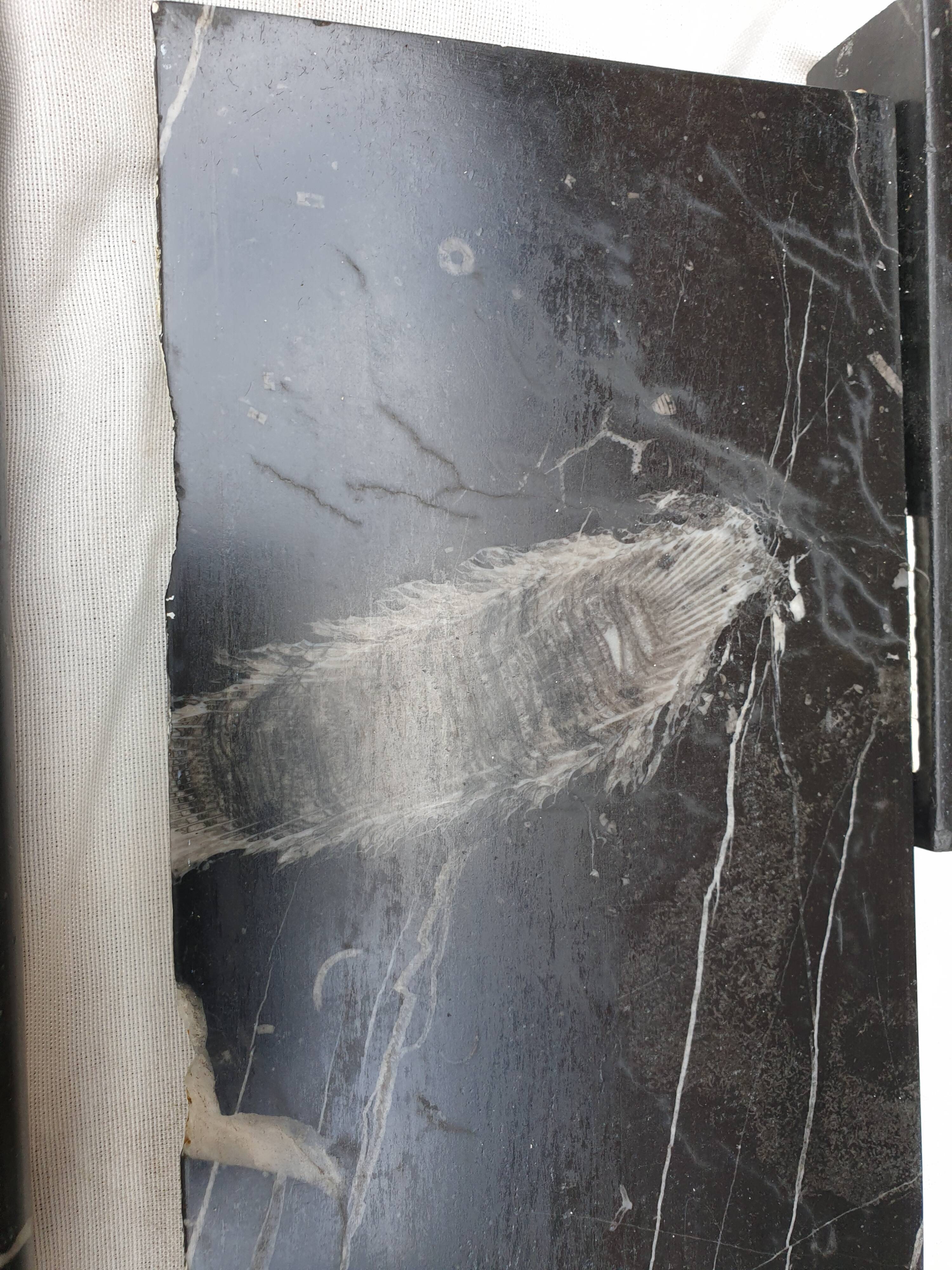 Black marble fireplace Napoleon III