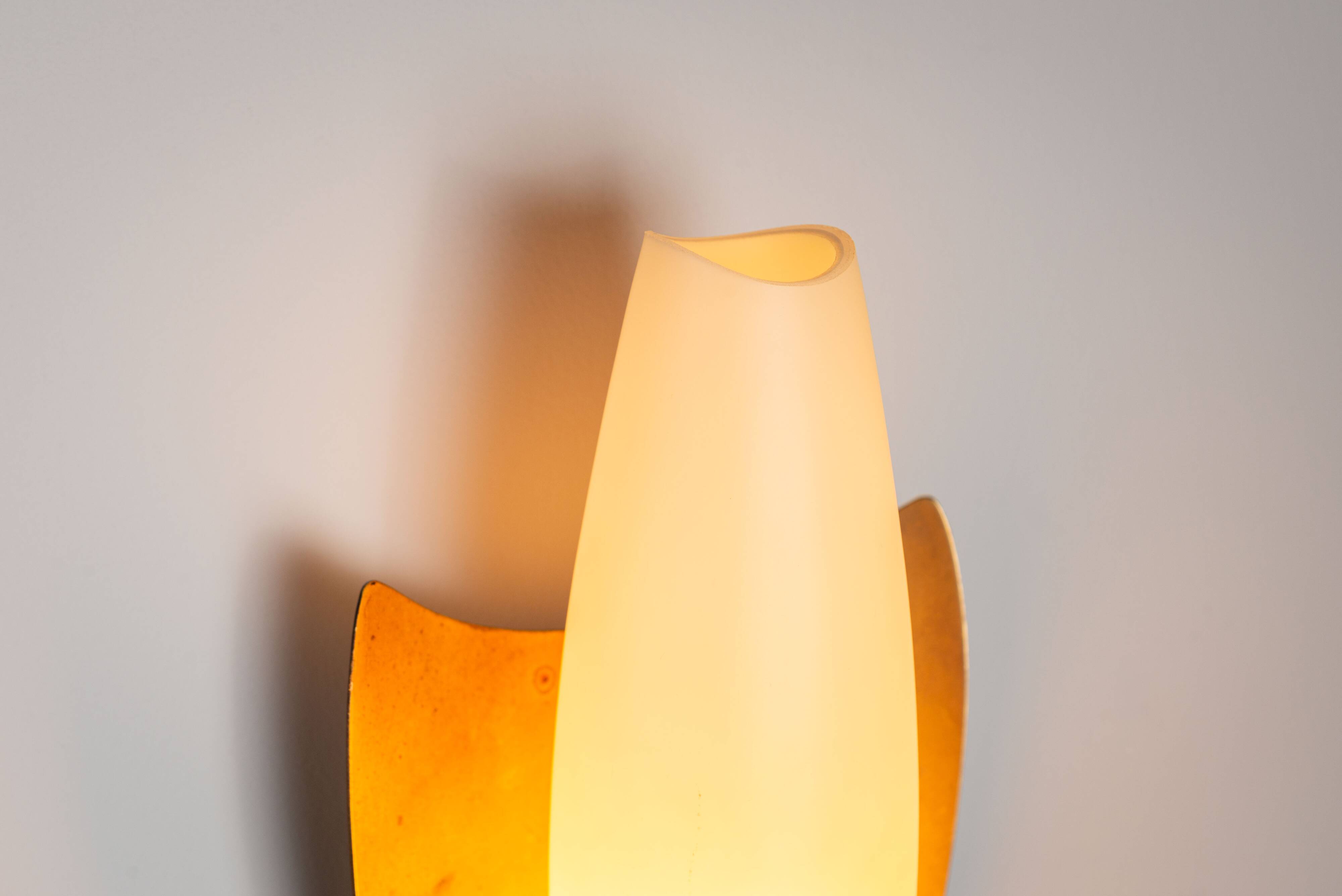 Pair of wall lamps with brass shields and glass shades