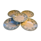Set of 5 plates Earth iron décor Honeysuckle
