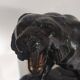 Large animal sculpture representing a roaring panther, signed BE.