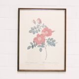roses imprimées sur cadre en bois vintage