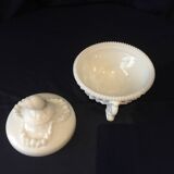 Candy in white opaline dragon head and shells summer seaside deco