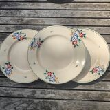 Plates Saint Amandinoise Saint Amand