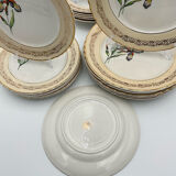 Porcelain plates signed moulin des loups 18 pieces
