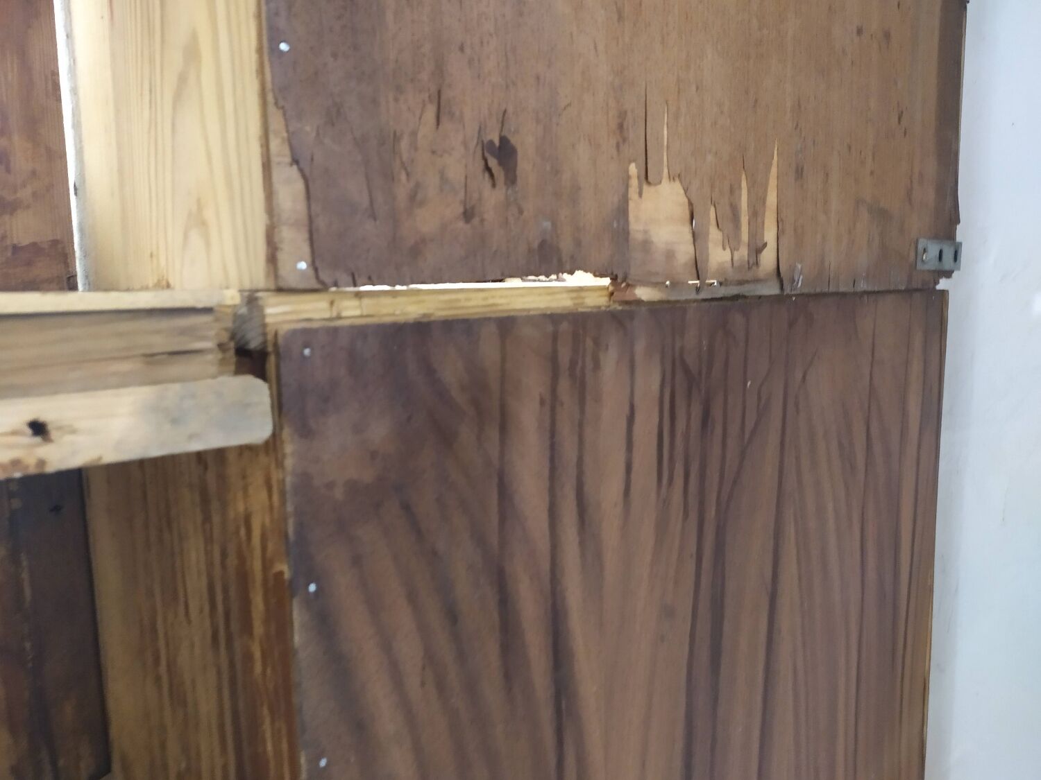 Bistro corner bookcase