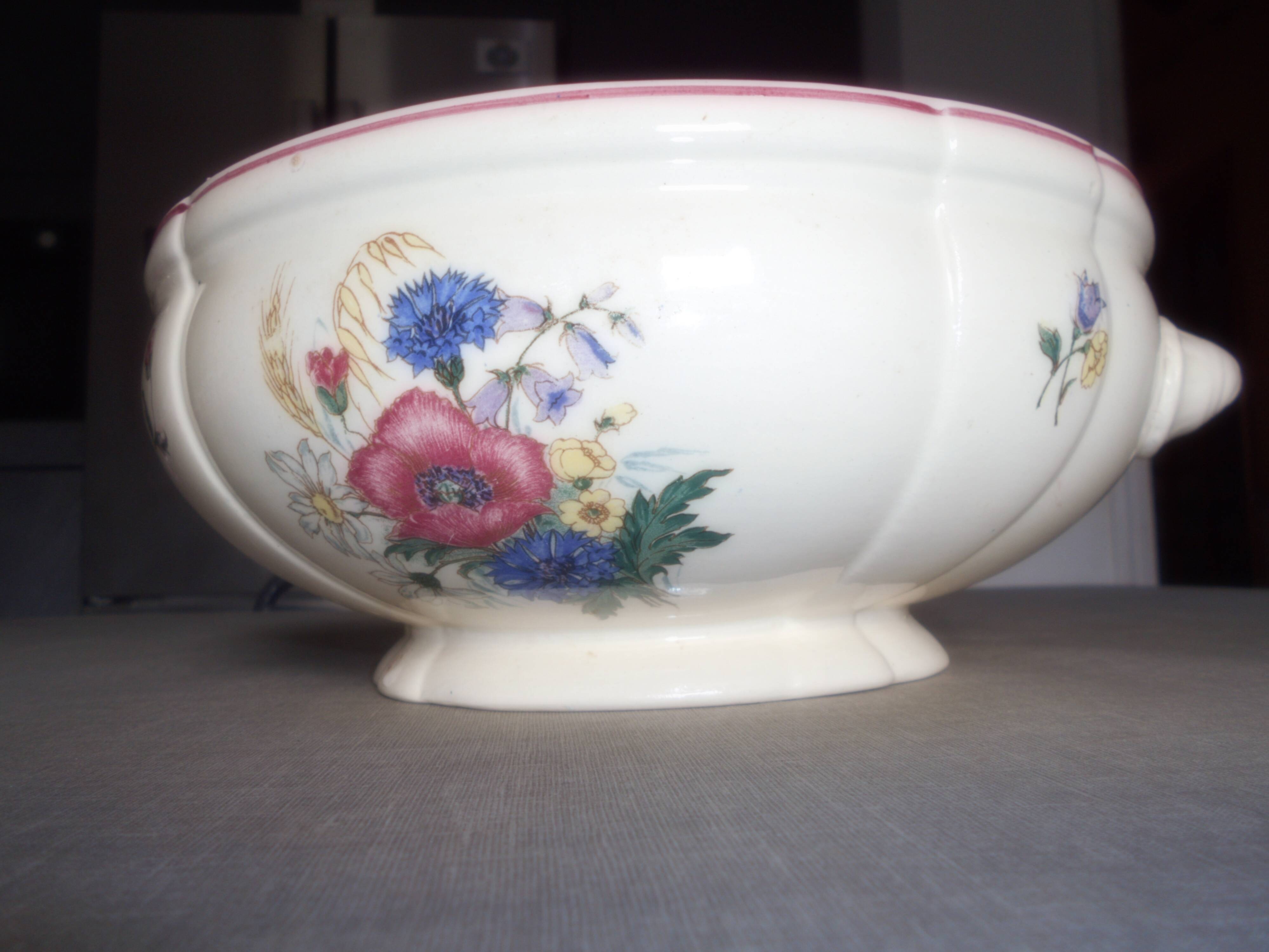 Flowered salad bowl digoin sarguemines