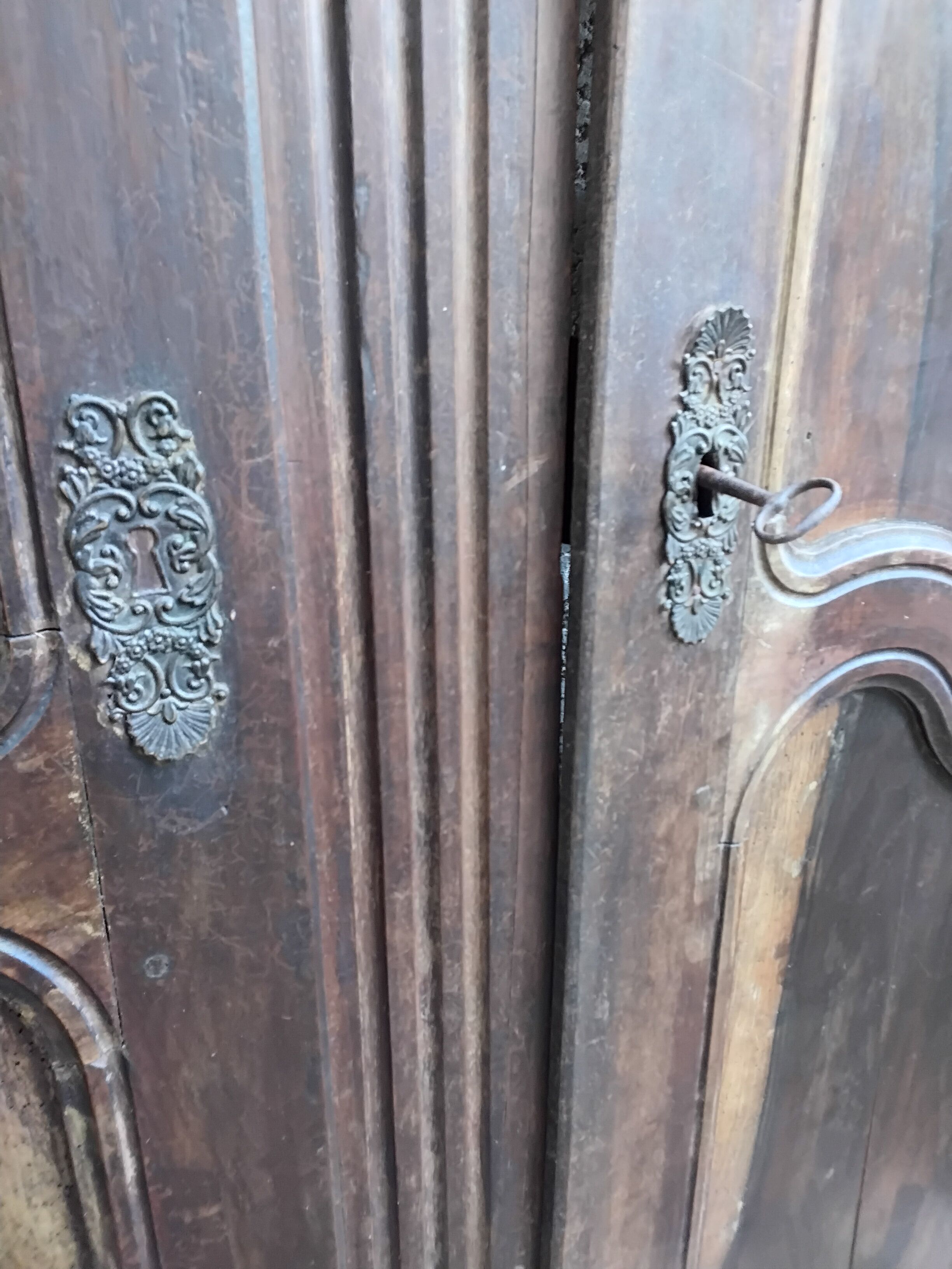 Pair of antique doors in 18th-century Louis XV style.