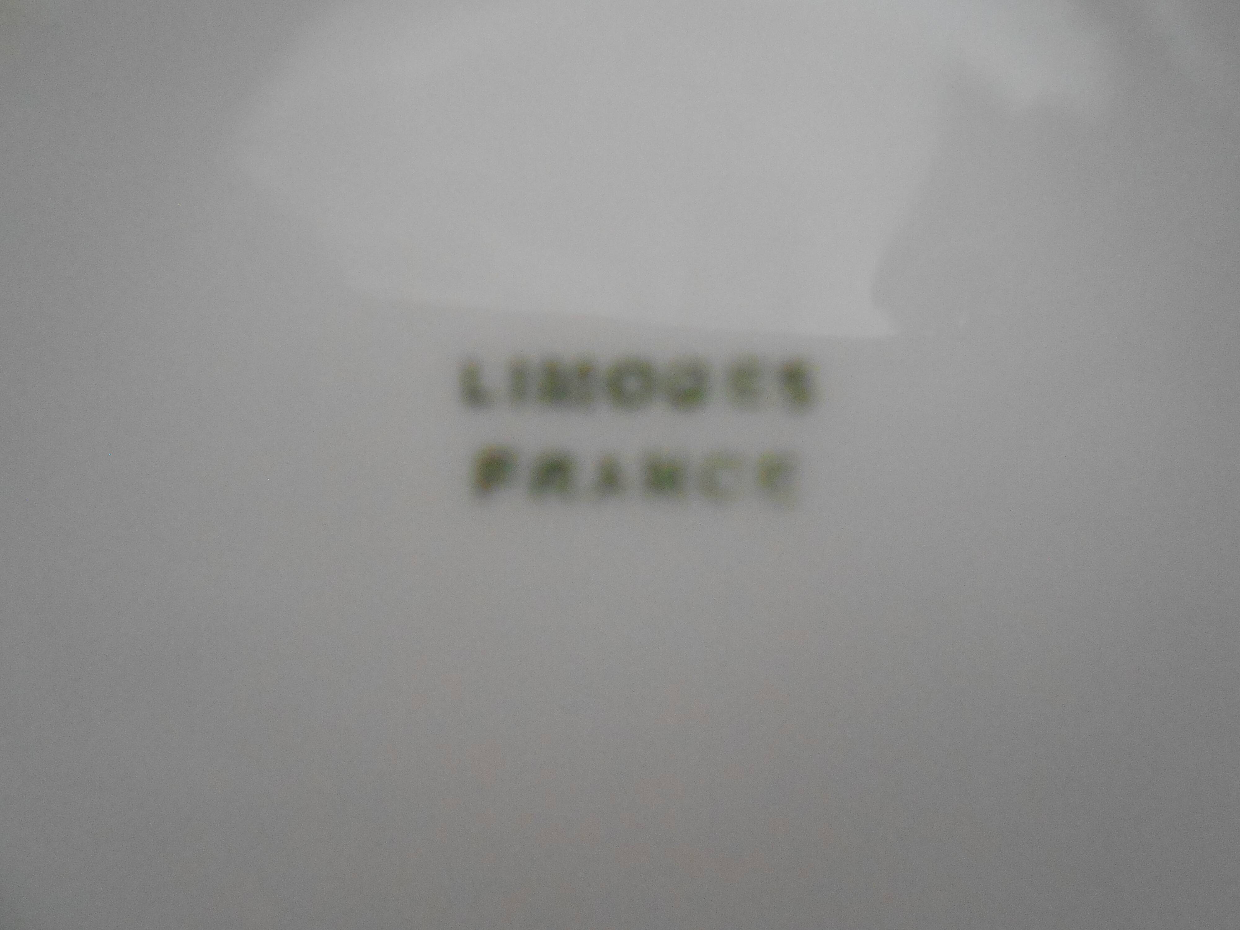 Limoges porcelain soliflore