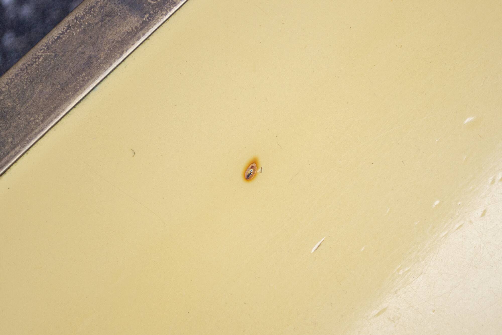 Tavolino Antonio Pavia in legno laccato e ottone, 1970s