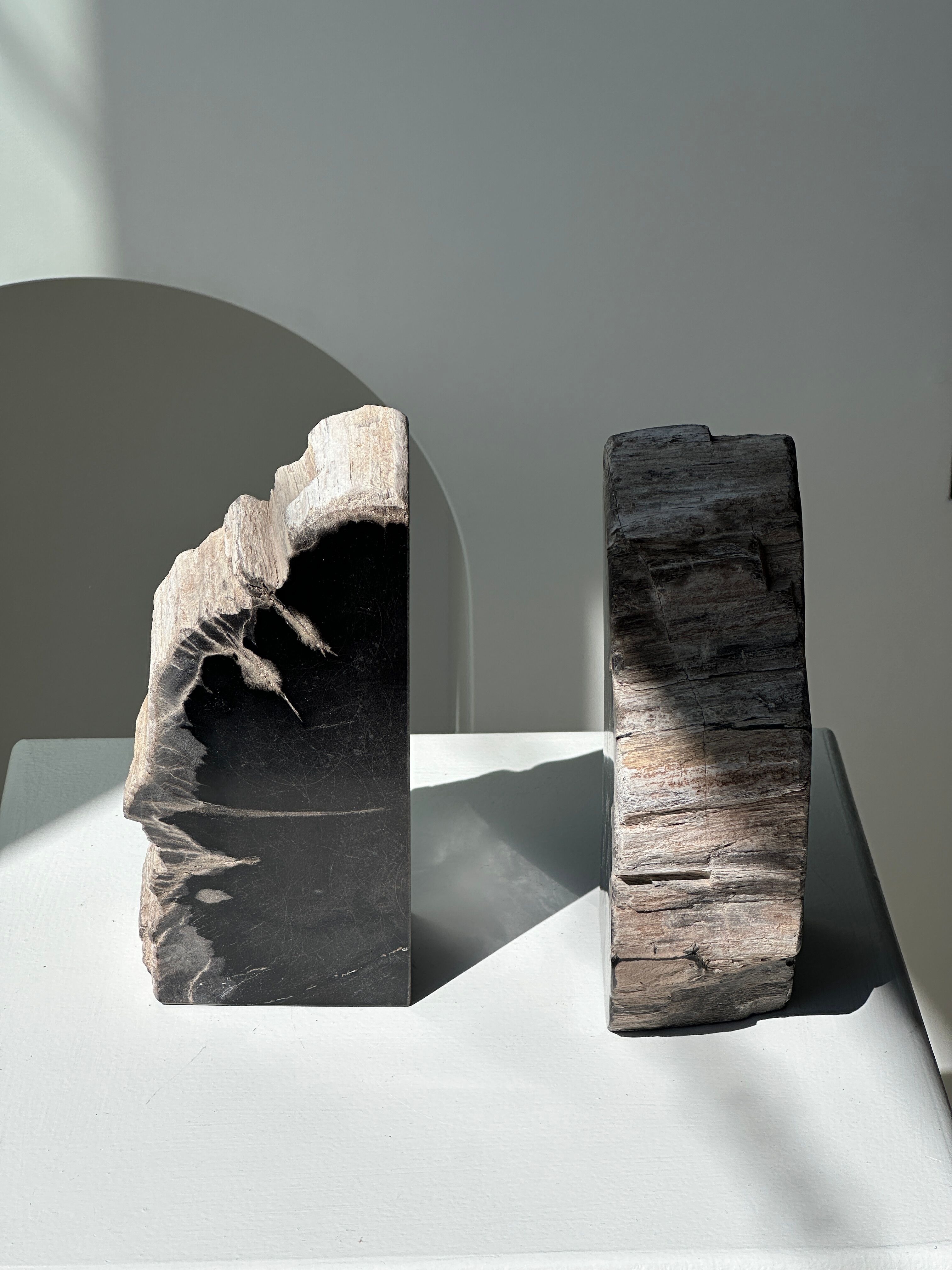 Black petrified wood bookend H17 L17 P6