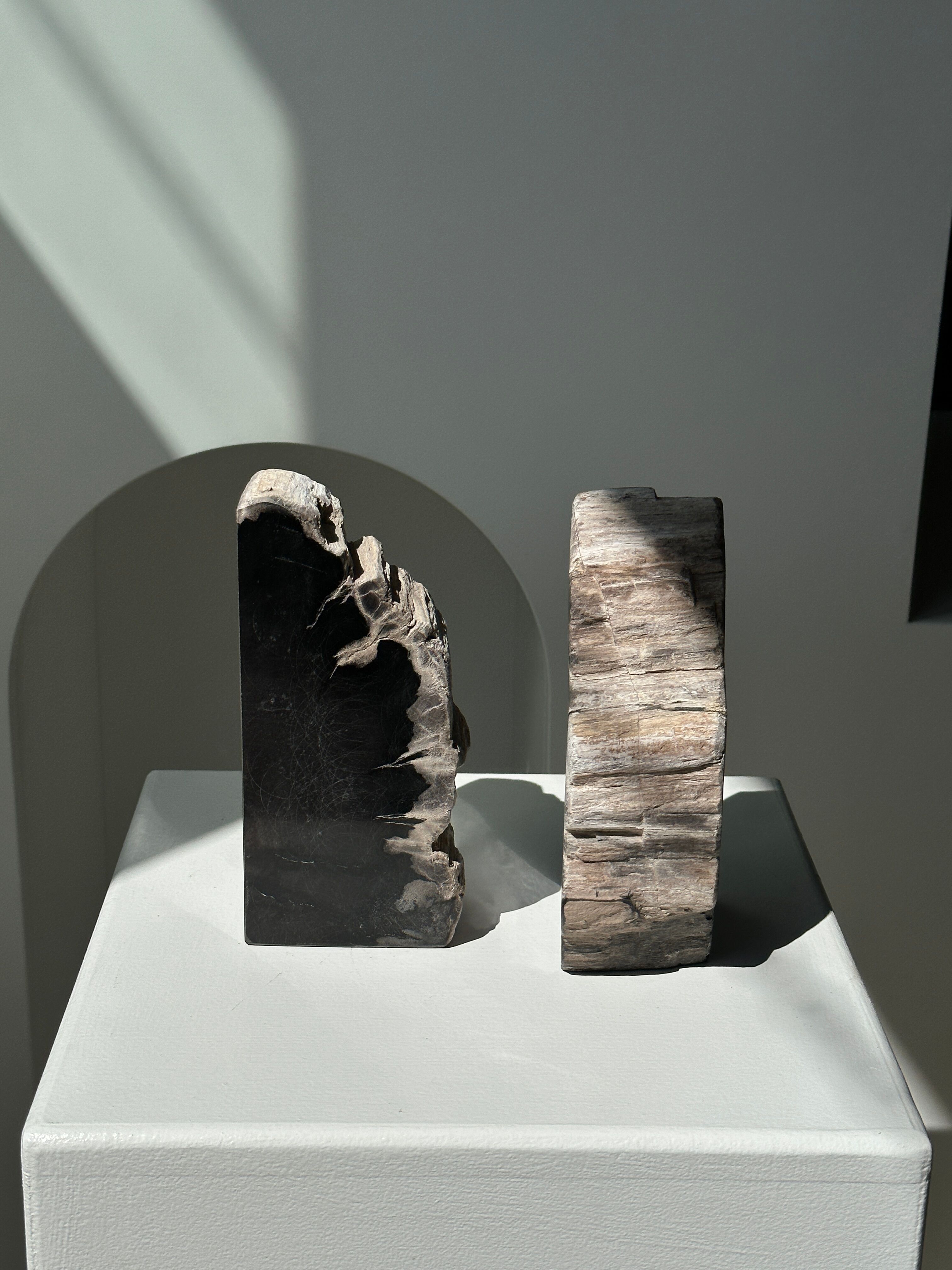 Black petrified wood bookend H17 L17 P6