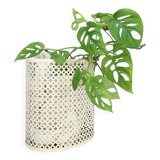 1950s wastepaper basket