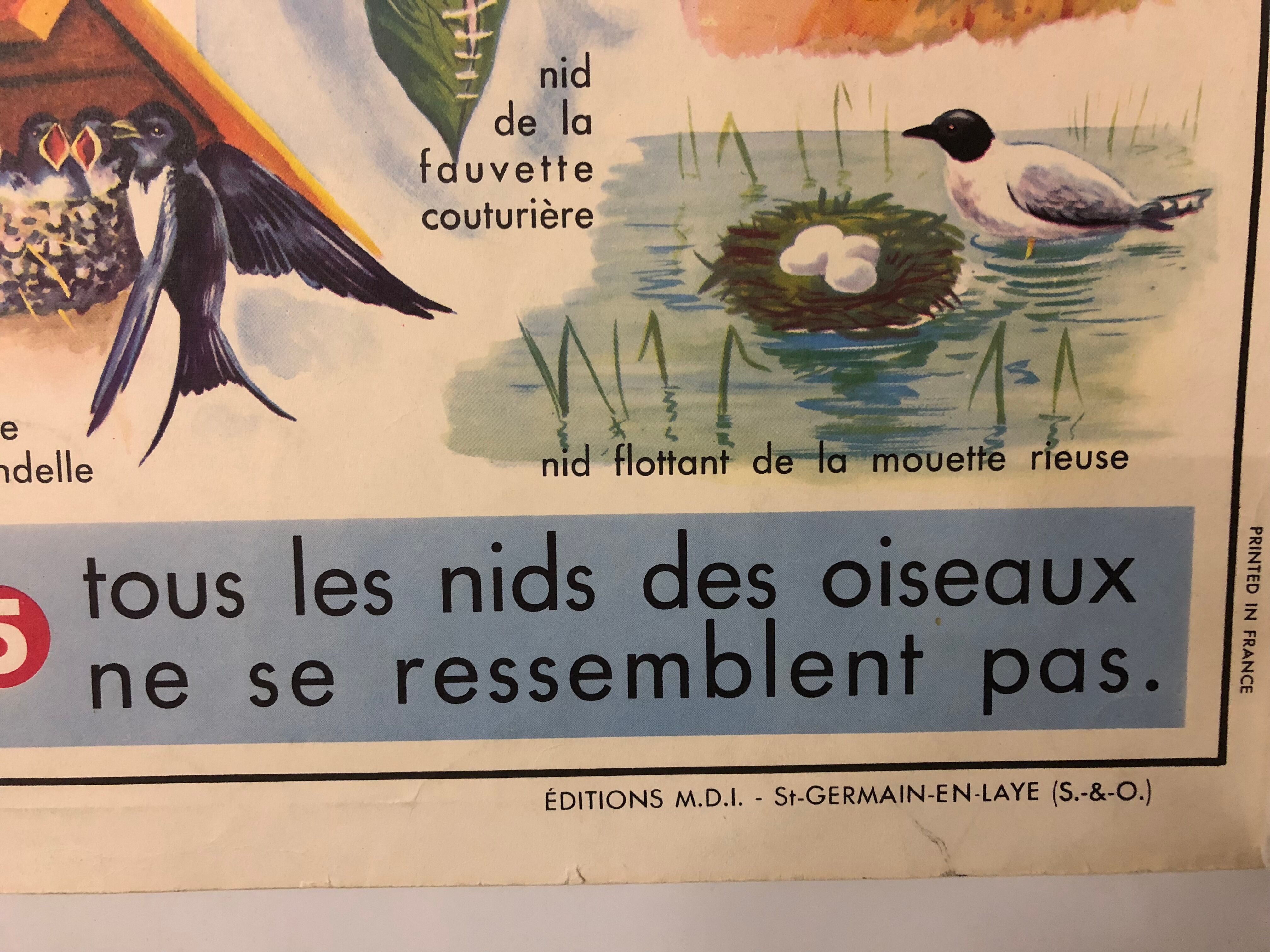 School vintage poster the primrose and the bird and its nest