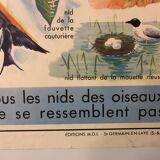 School vintage poster the primrose and the bird and its nest