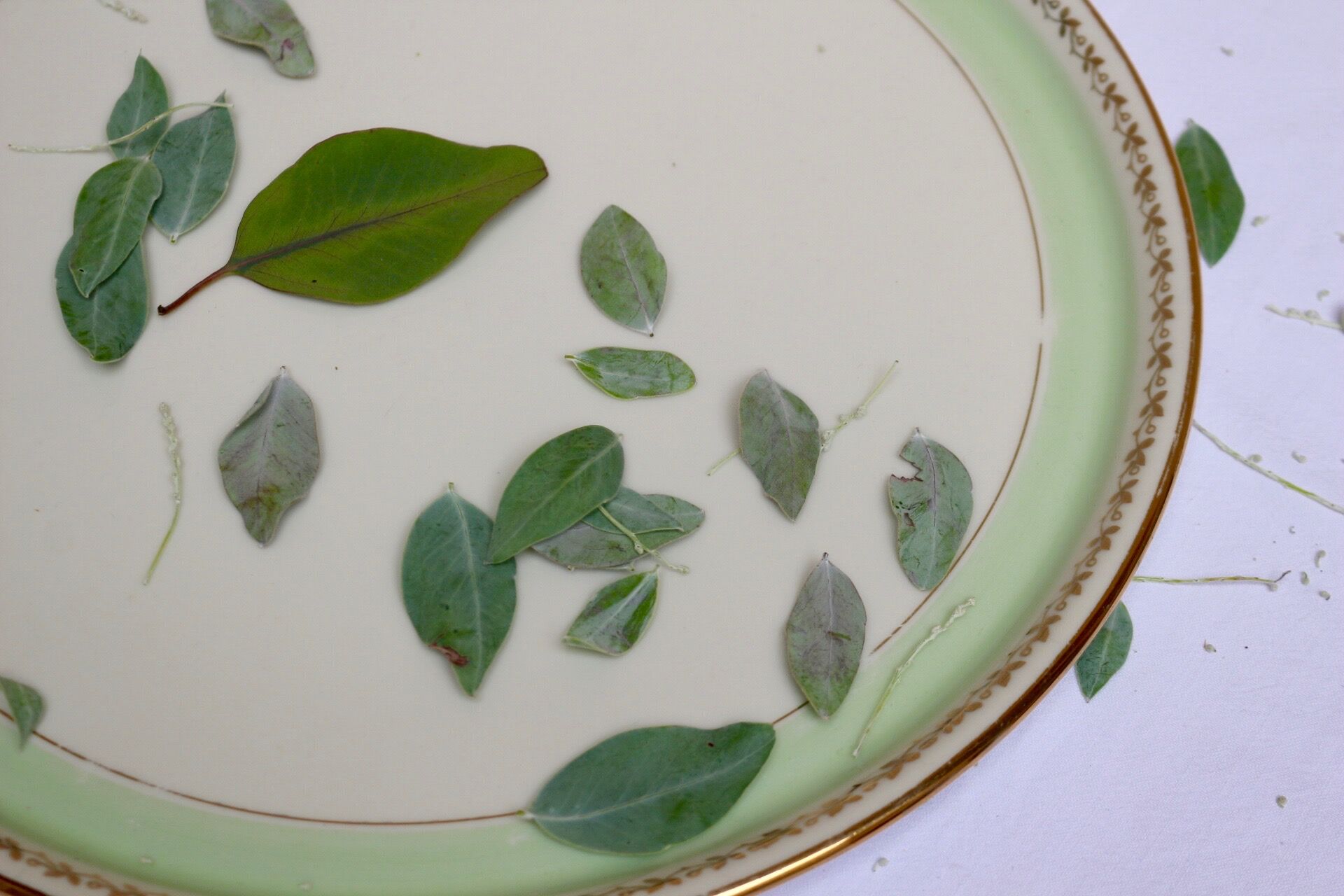 Pie dish, Limoges porcelain