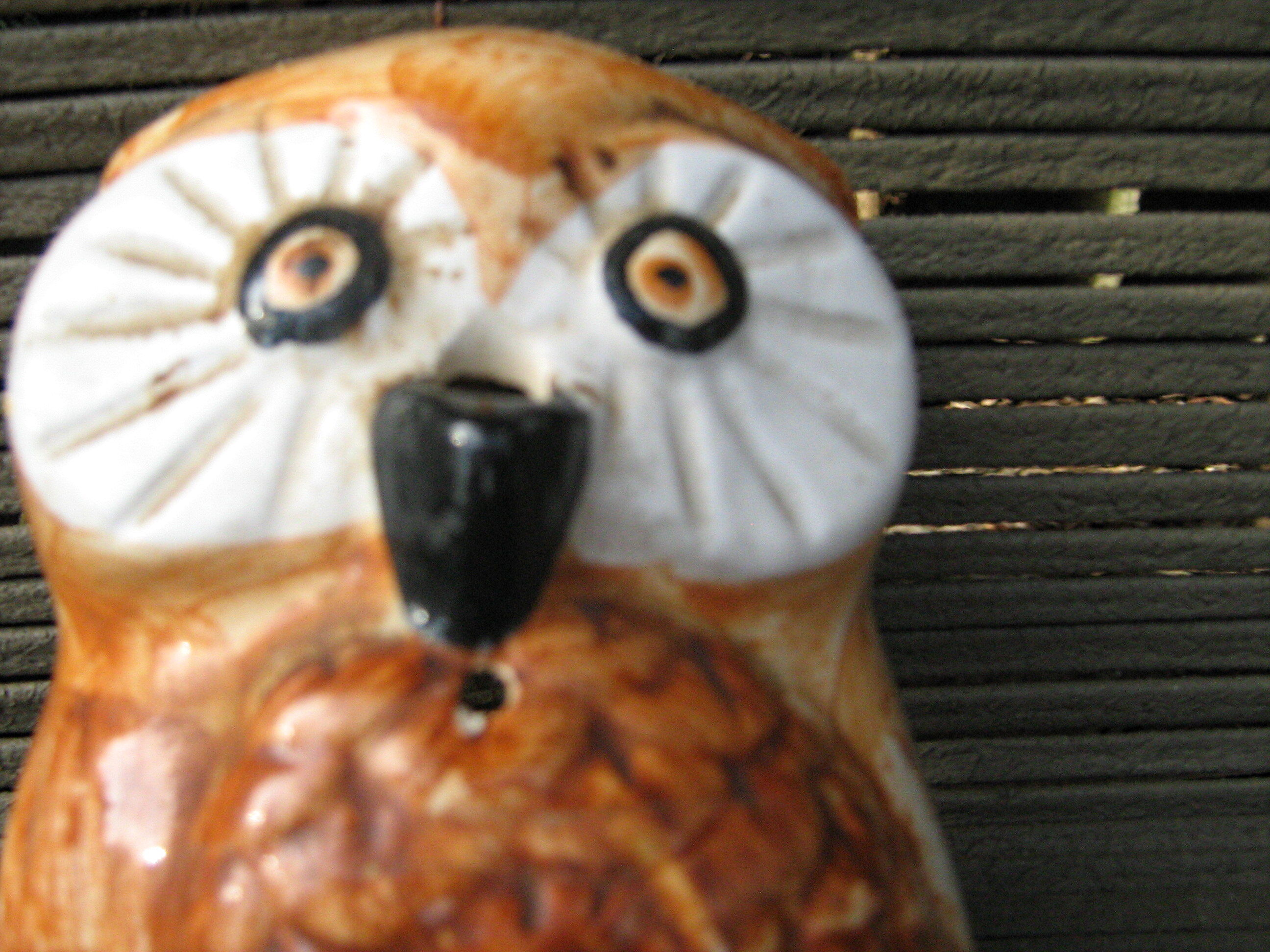 Owl arranges wire or rope