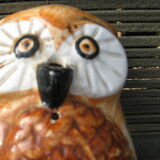 Owl arranges wire or rope