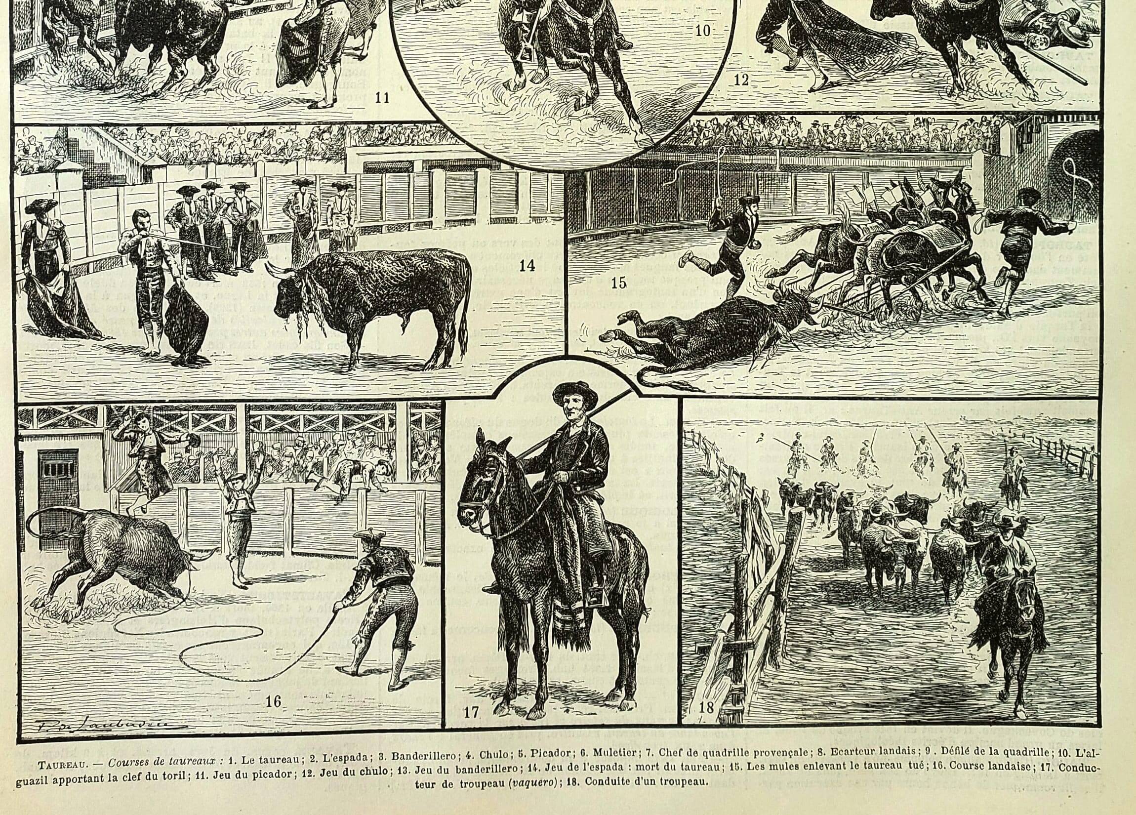 Antique engraving - 1897 P. De Laubadère - Bull - Vintage