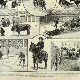 Antique engraving - 1897 P. De Laubadère - Bull - Vintage