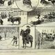 Antique engraving - 1897 P. De Laubadère - Bull - Vintage