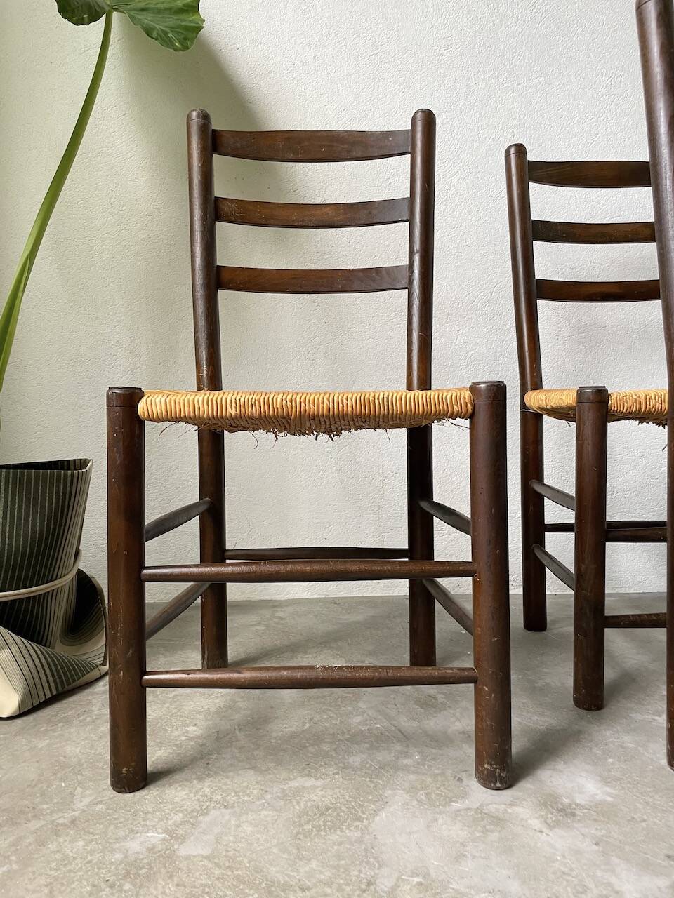 Set of 4 straw chairs from the 50s Dudouyt