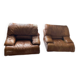 Roche Bobois armchairs (old)