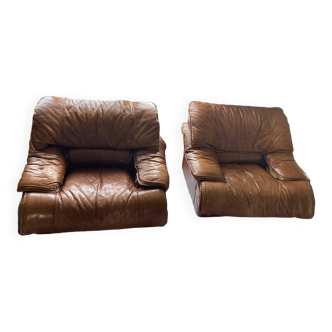 Fauteuils Roche Bobois (anciens)