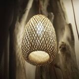 Vietnamese suspension