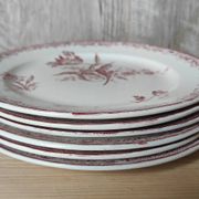6 assiettes à dessert modèle Fontanges par Sarreguemines