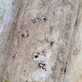 Eternit planters by Willy Guhl