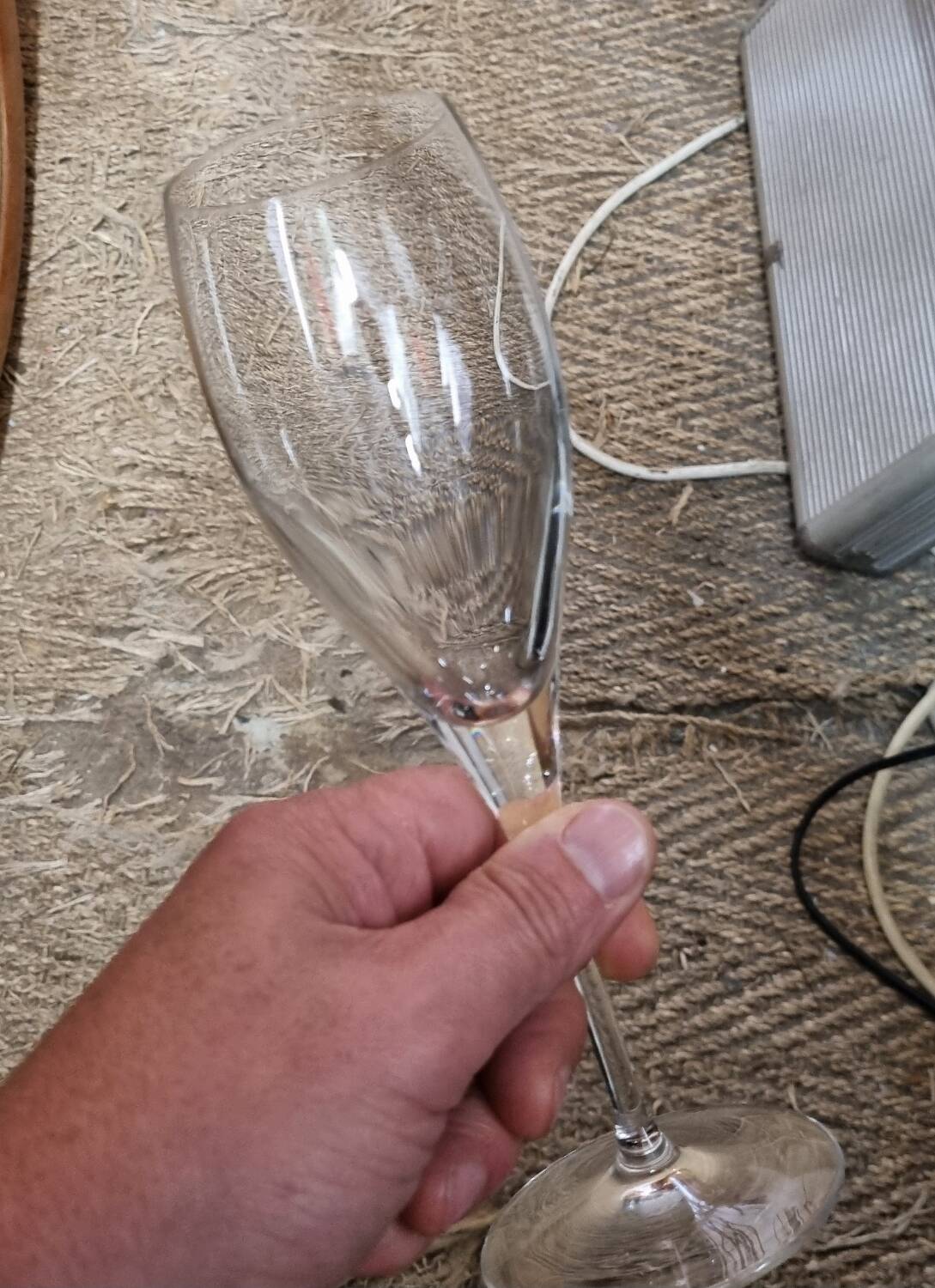 Villeroy & Boch Champagne Flutes 22cm