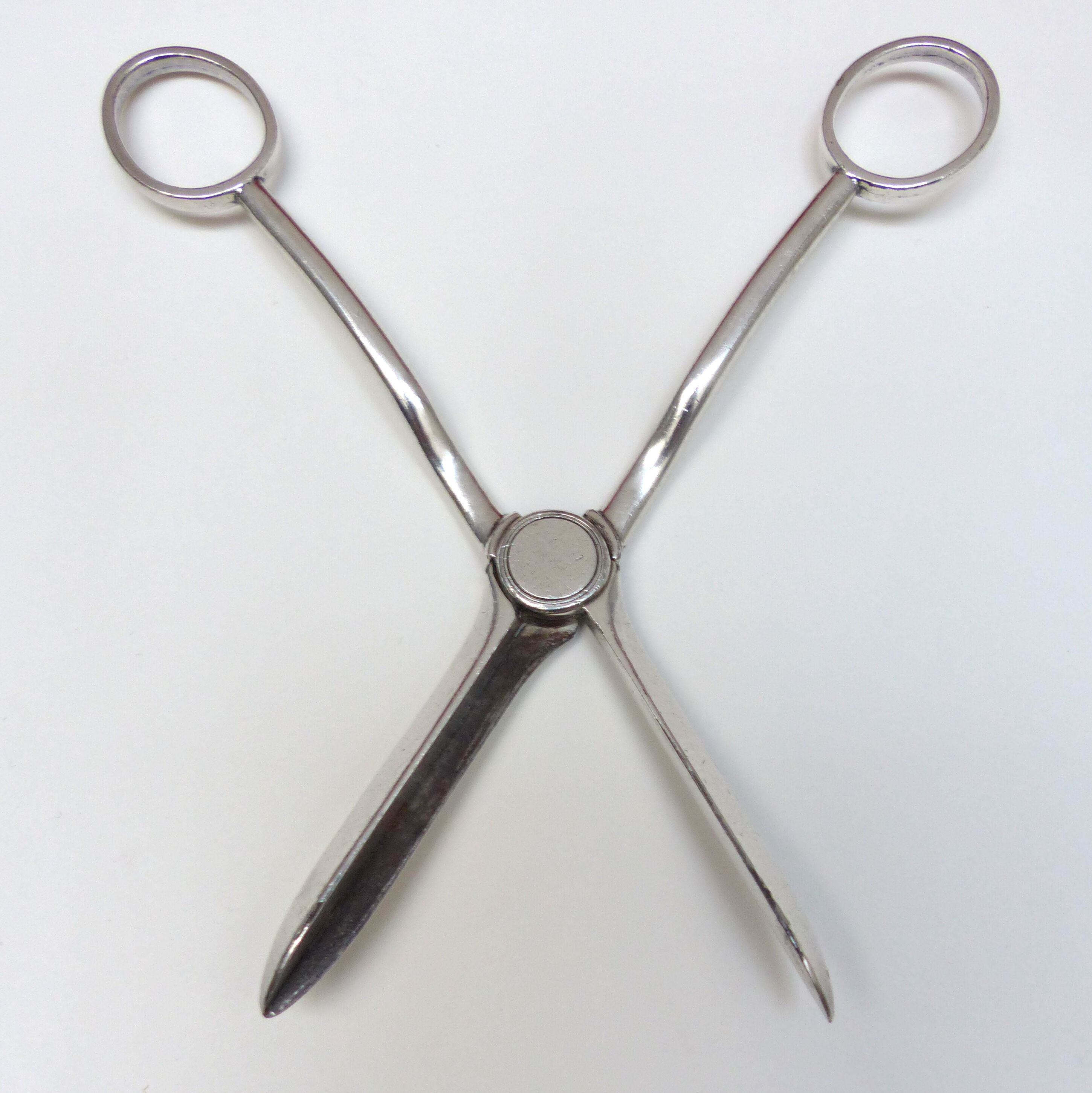 Silver-plated metal grape scissors with stamps