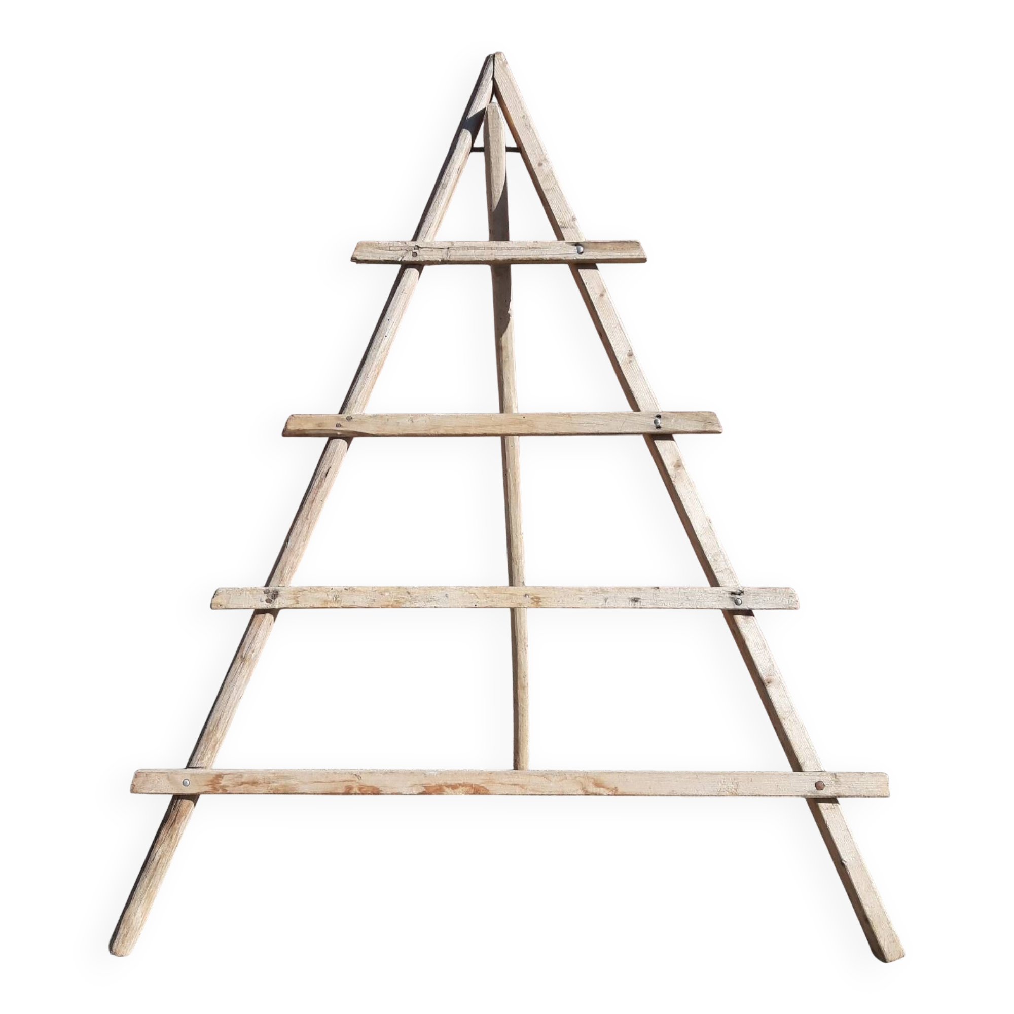 Folding ladder for olive trees. (Spain, 1940s/50s)
