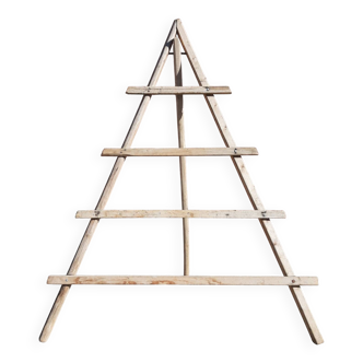 Echelle pliable pour oliviers. (Espagne, années 40/ 50)