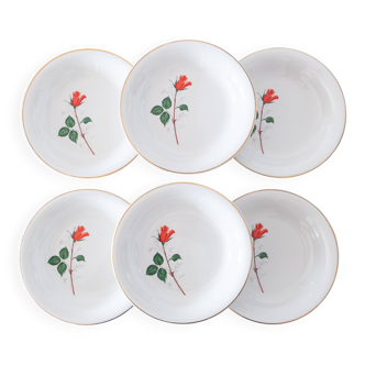 6 assiettes KG Lunéville collection Antibes rose rouge