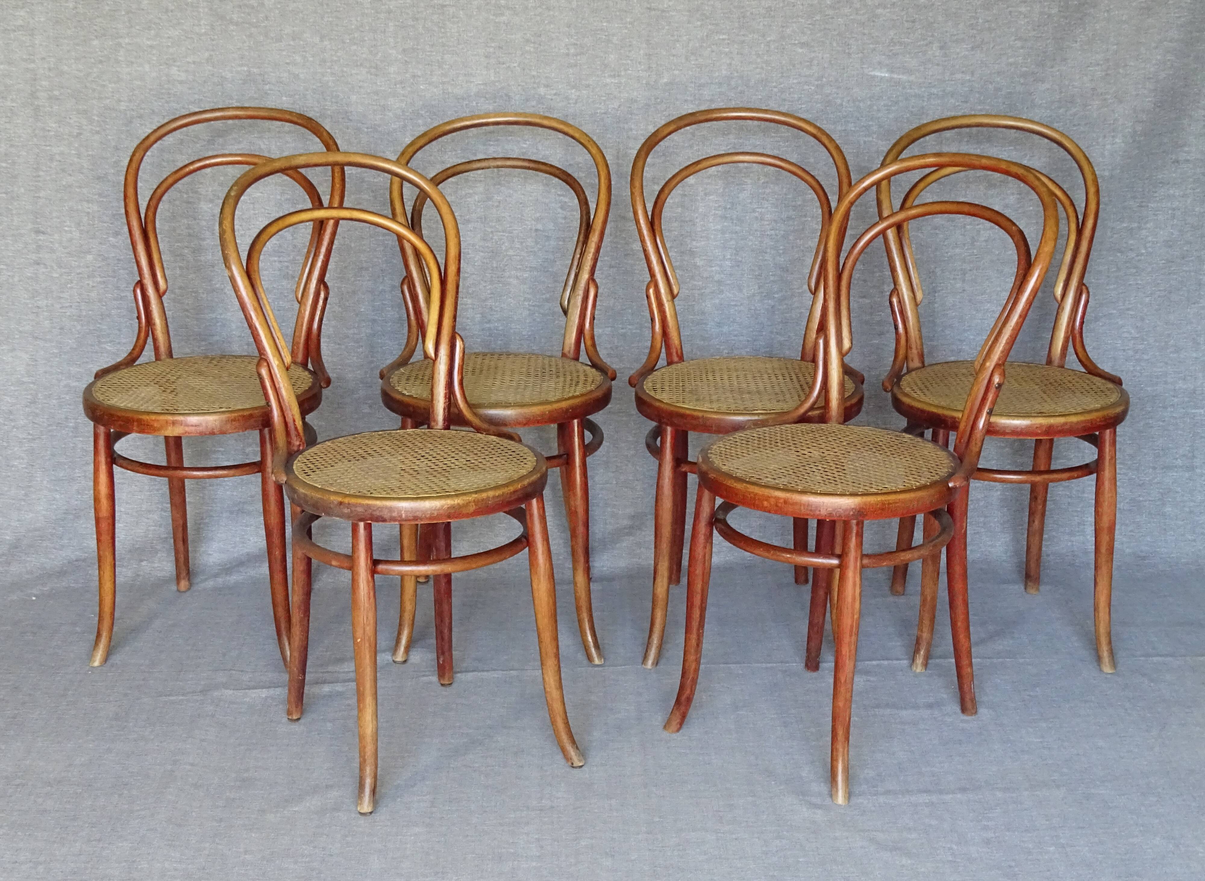 6 bistro chairs N° 14 canned, by Turpe Dresden 1890
