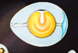 🔎Affiche murale de l’école de Jung-Koch-Quentell "poulet" 1971