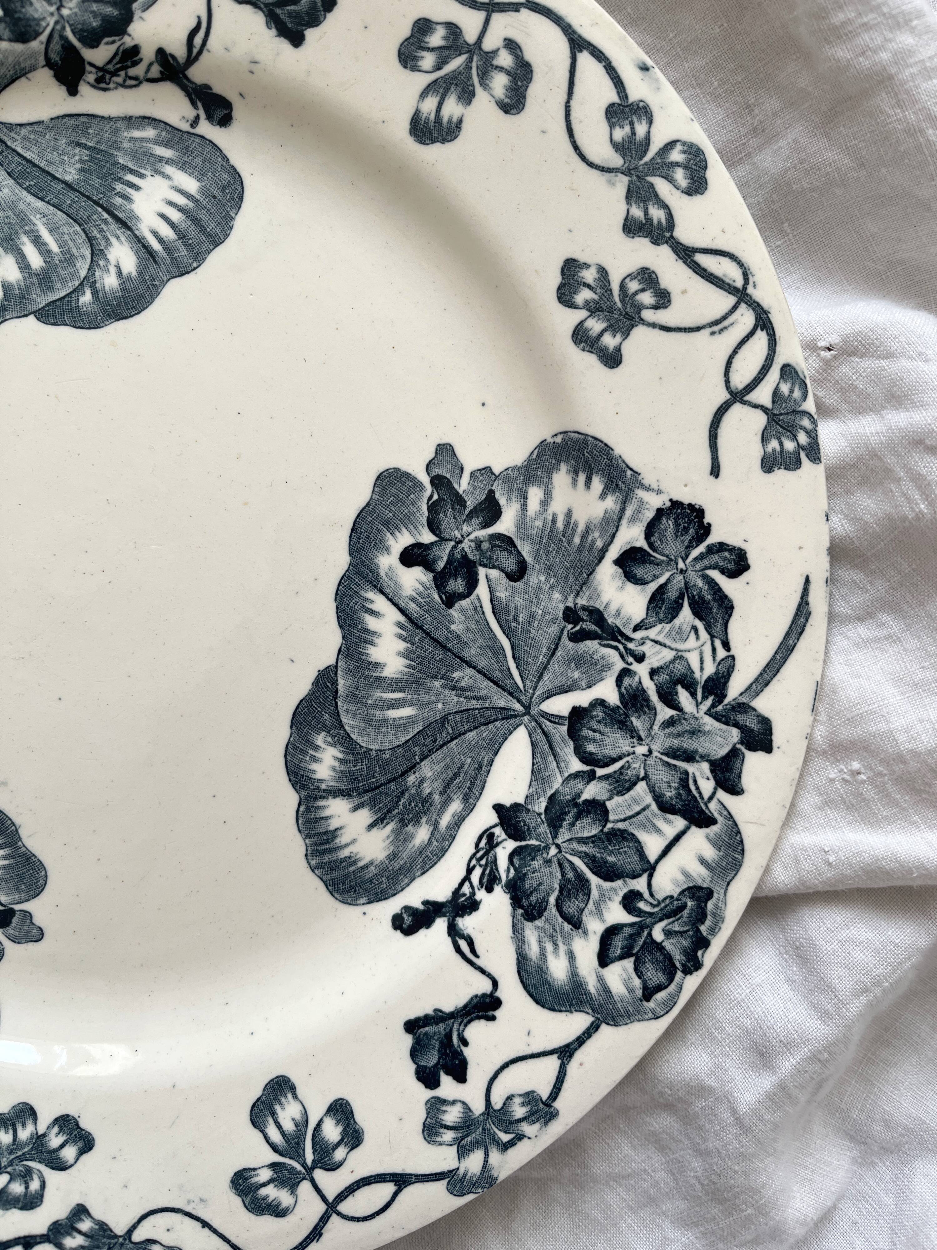 Antique ironstone dinner plate "Les Violettes" Salins