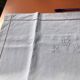 BG leaves embroidered linen pillowcase