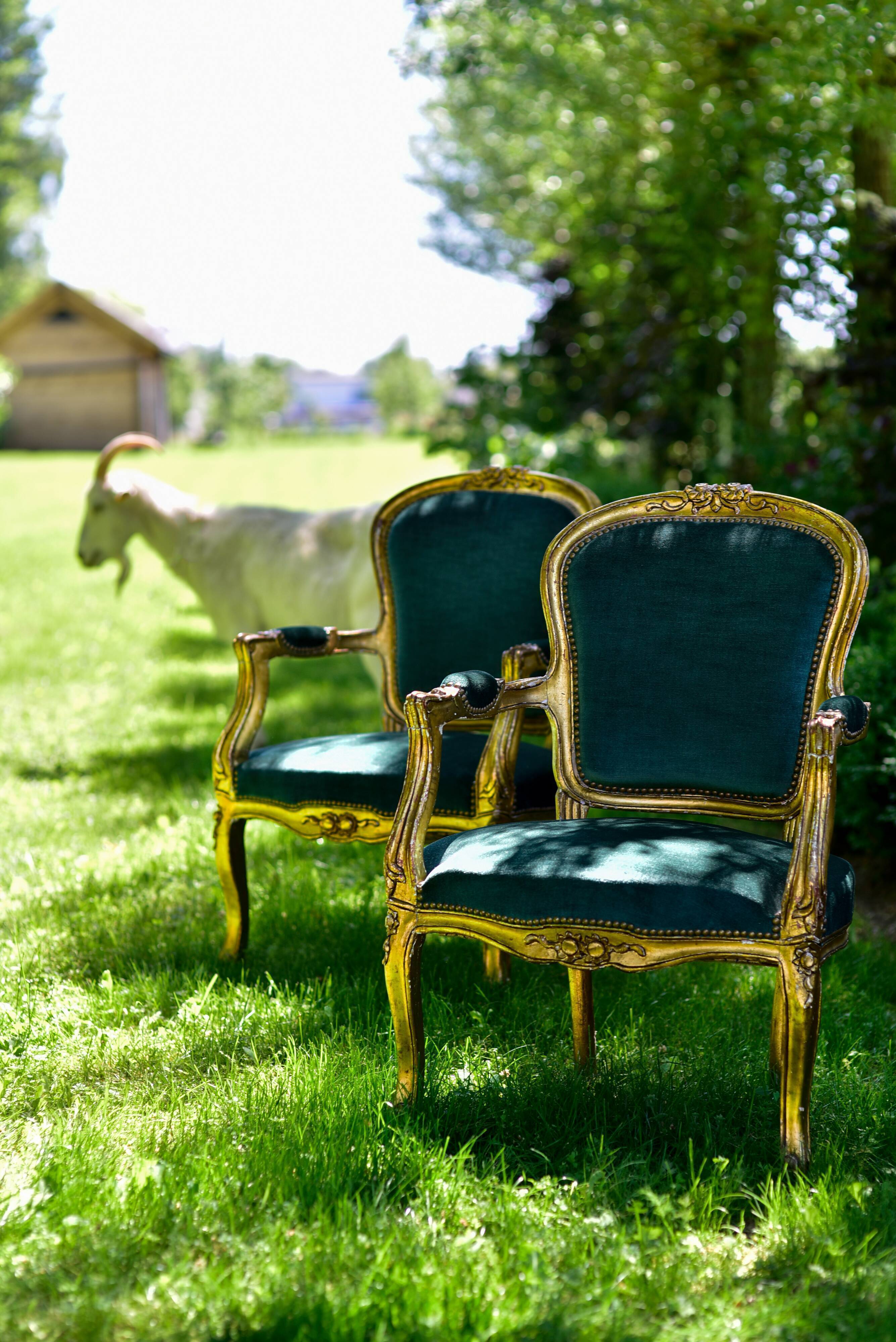 Fauteuils bergères Louis XV