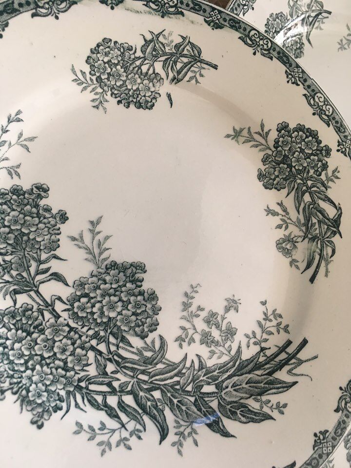 Flat plates "Daisy" Saint Amand