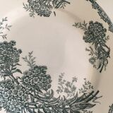 Flat plates "Daisy" Saint Amand