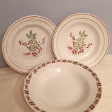 Assorted 4 plates in red and green tones