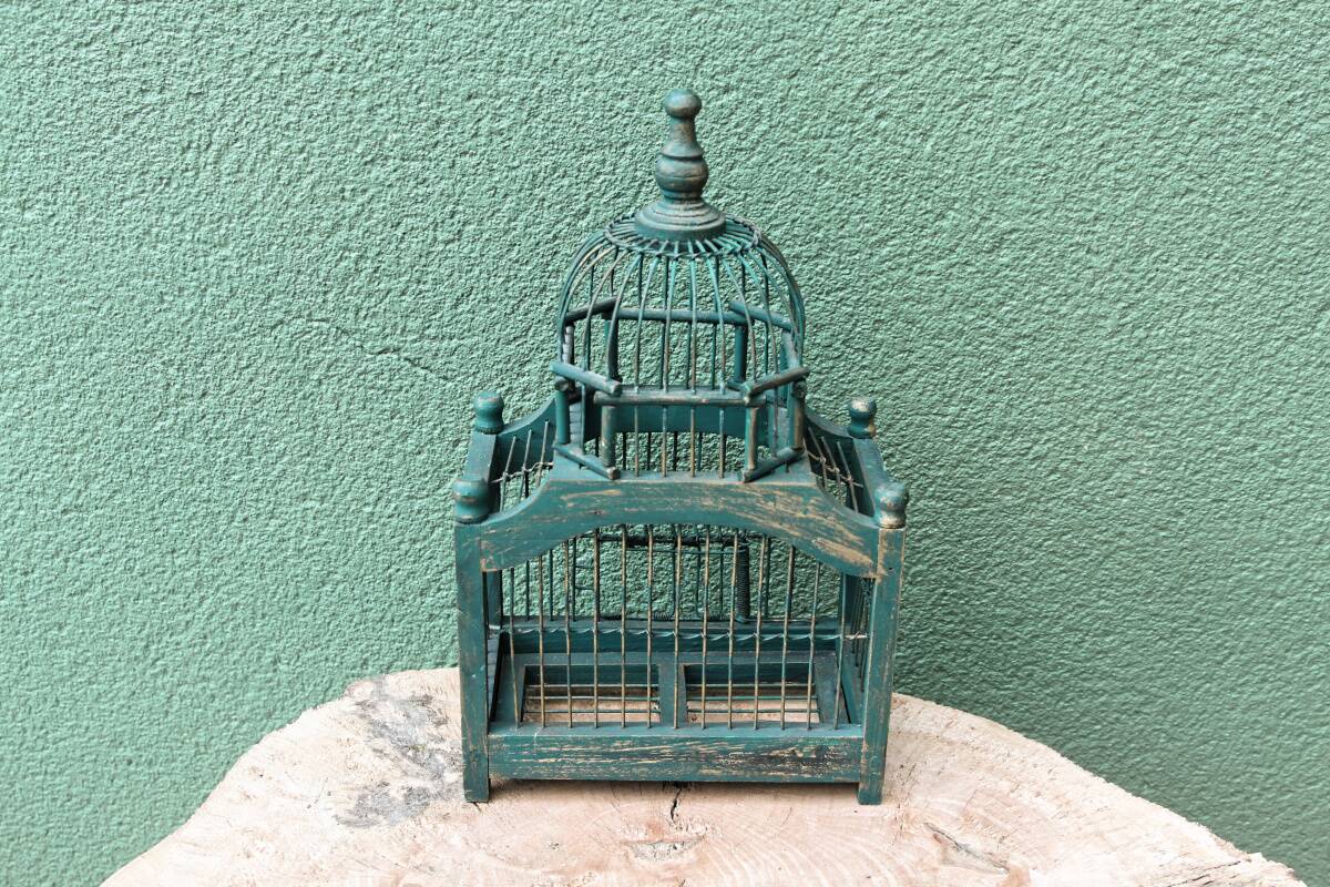 Old bird cage