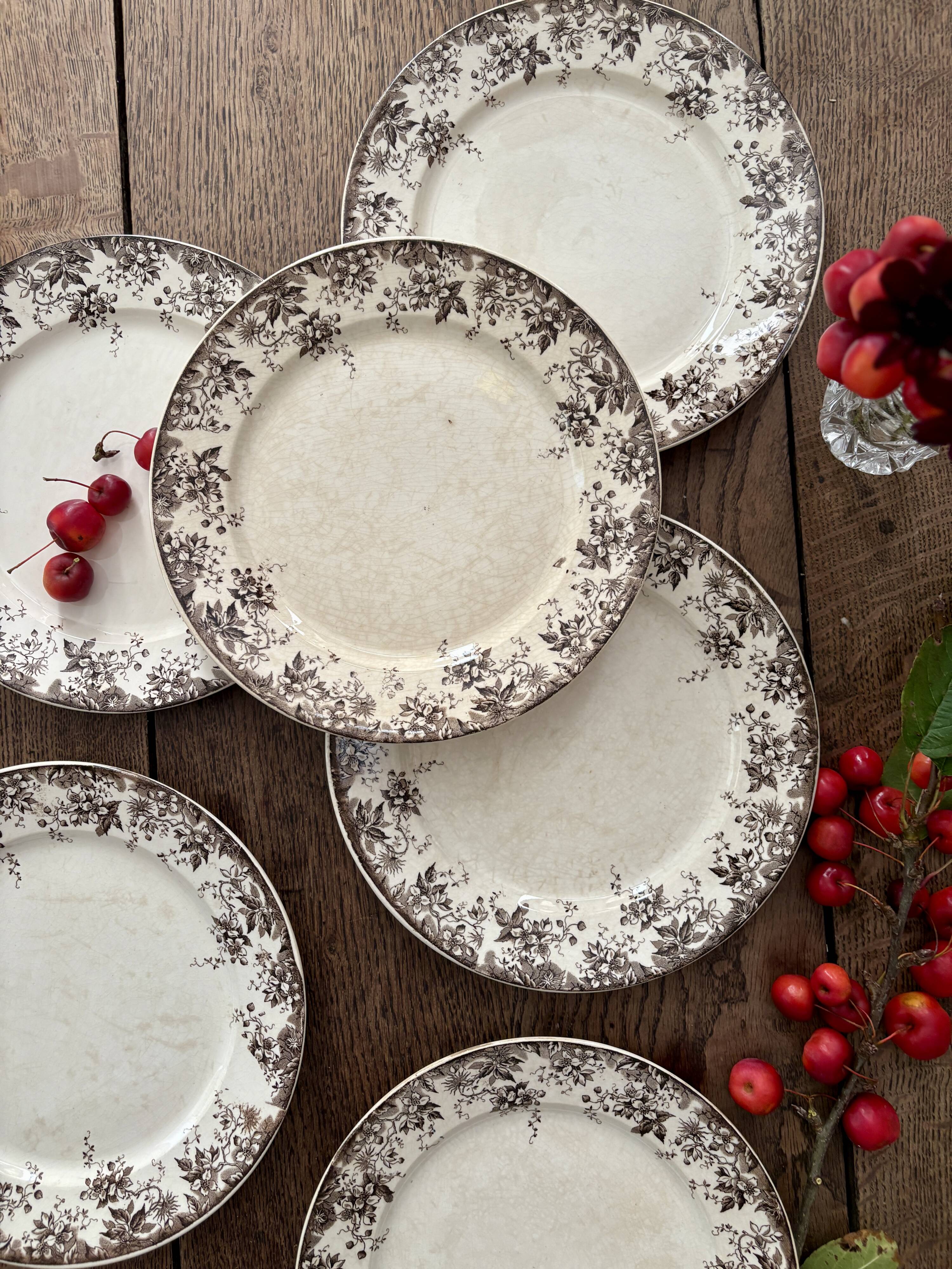 Set of 6 antique ironstone dinner plates, Alphand pattern