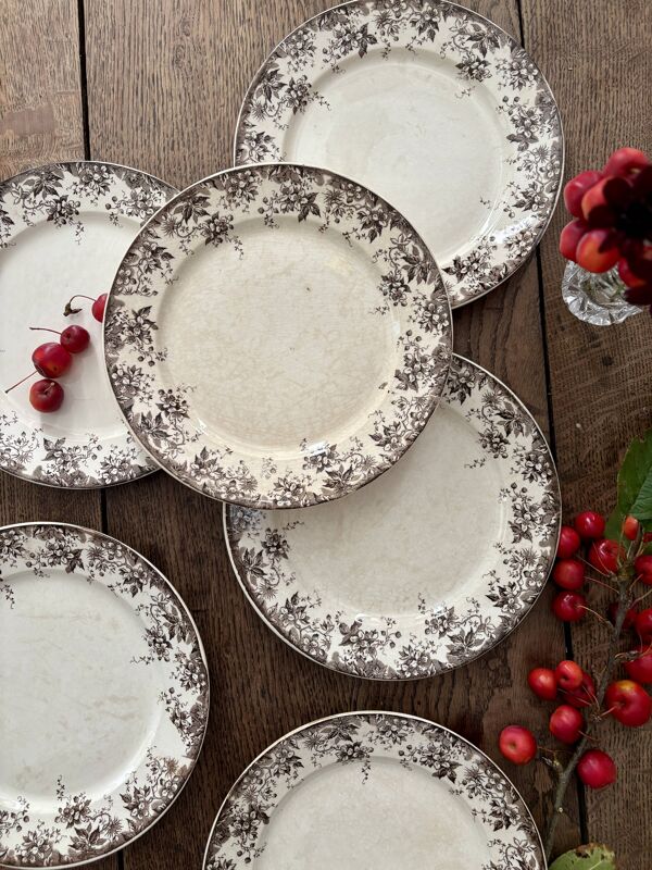 Lot de 6 assiettes plates anciennes en terre de fer modèle Alphand