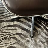 Genuine zebra print skin rug