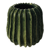 Cactus vase
