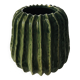 Cactus vase